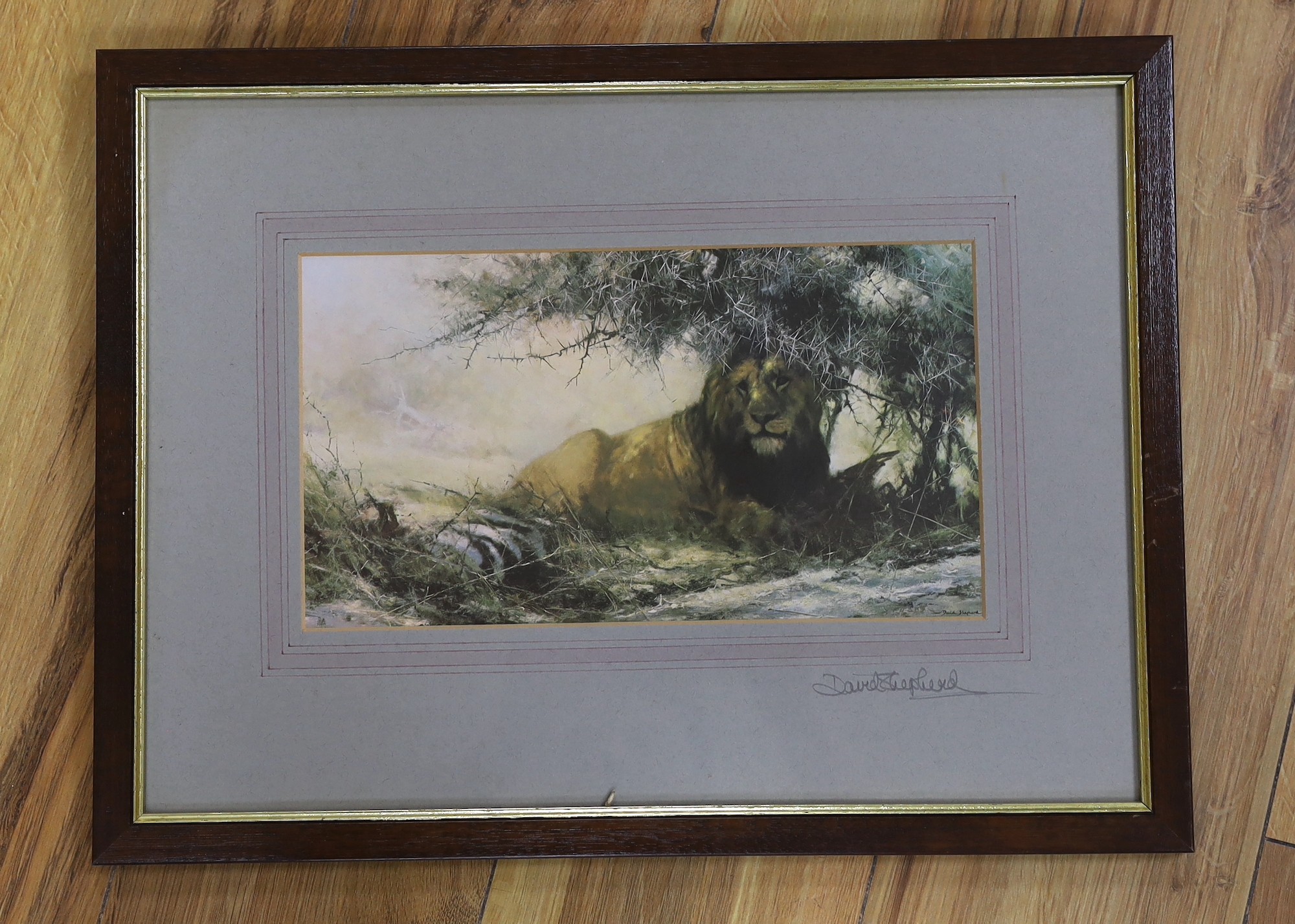 English School c.1900, oil on canvas, Shepherds and flock upon the downs, 30 x 40cm, together with a signed David Shepherd print of a lion